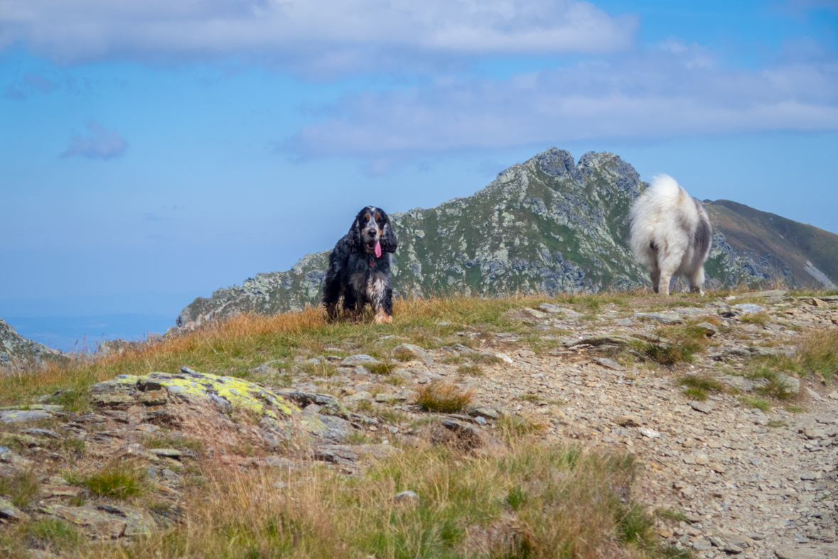 Baranec z Račkovej doliny, ATC (Západné Tatry)