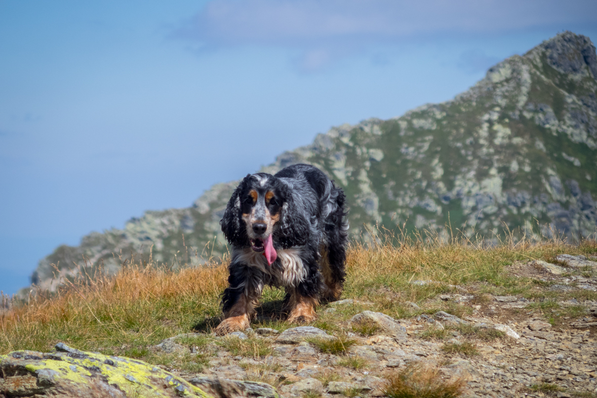 Baranec z Račkovej doliny, ATC (Západné Tatry)