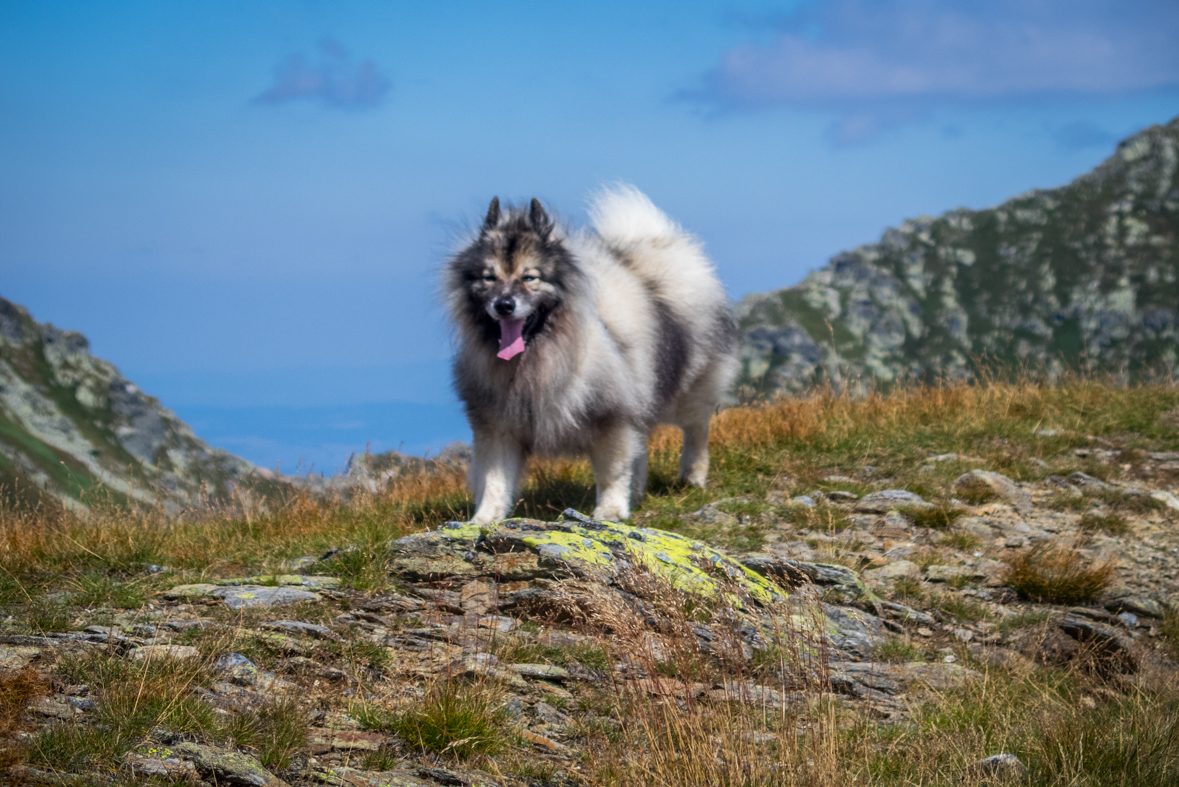 Baranec z Račkovej doliny, ATC (Západné Tatry)