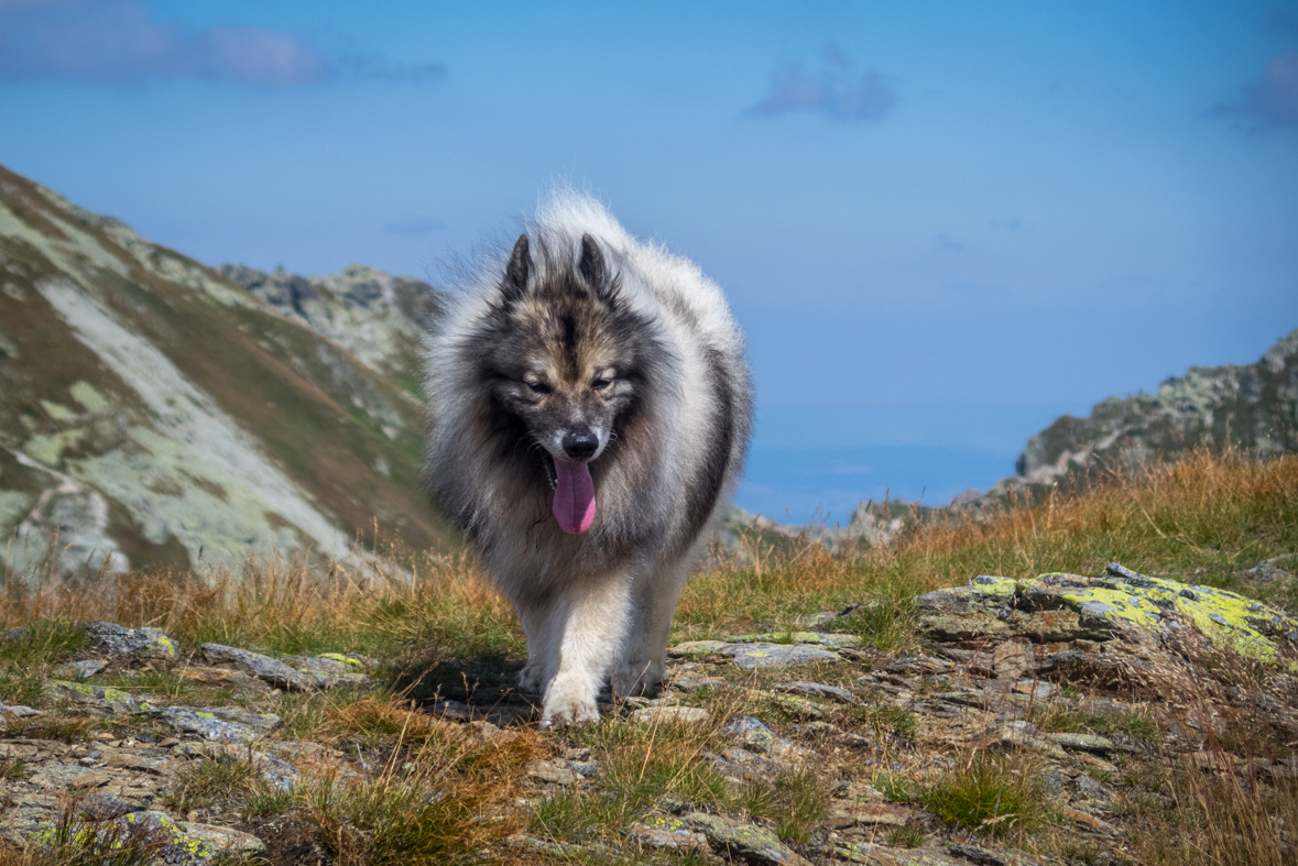 Baranec z Račkovej doliny, ATC (Západné Tatry)