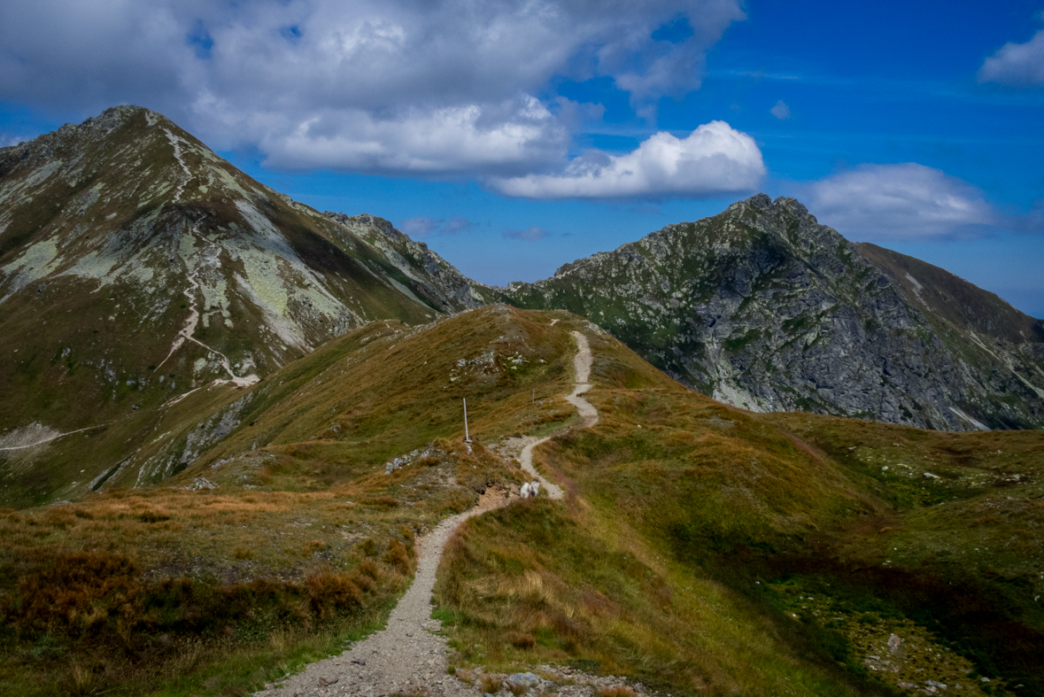 Baranec z Račkovej doliny, ATC (Západné Tatry)