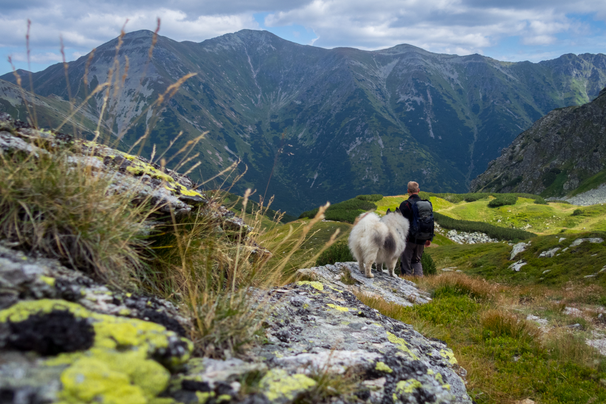 Baranec z Račkovej doliny, ATC (Západné Tatry)