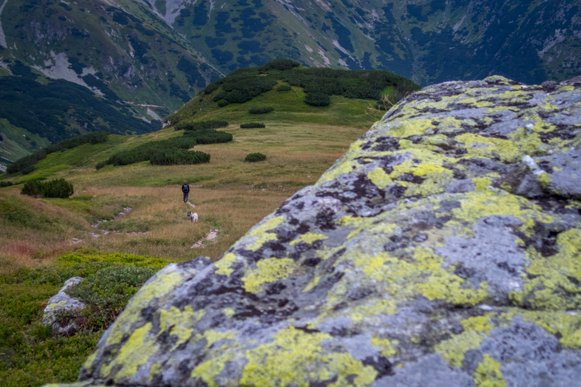 Baranec z Račkovej doliny, ATC (Západné Tatry)