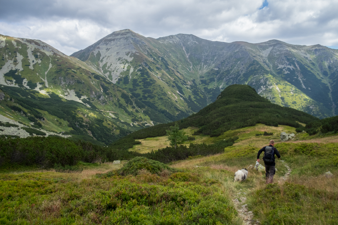 Baranec z Račkovej doliny, ATC (Západné Tatry)