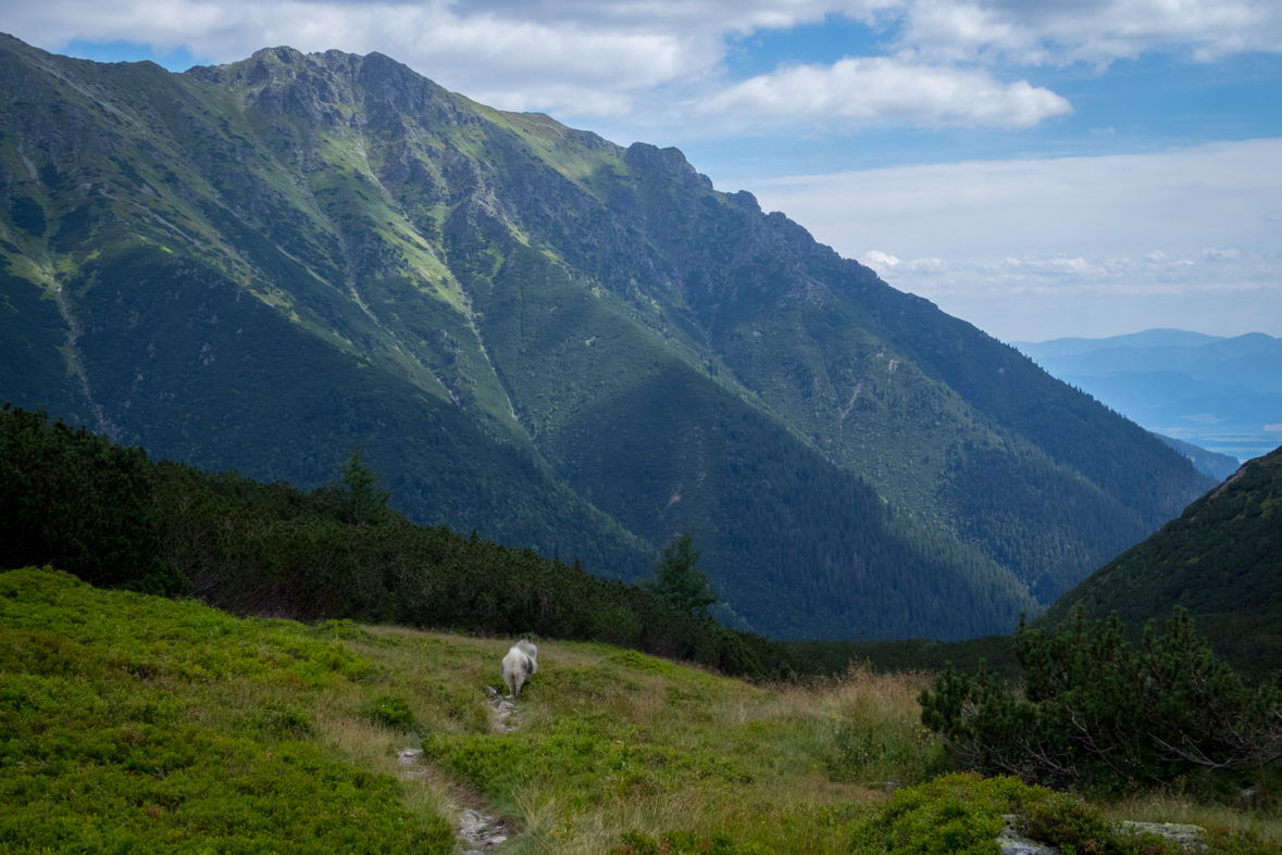 Baranec z Račkovej doliny, ATC (Západné Tatry)