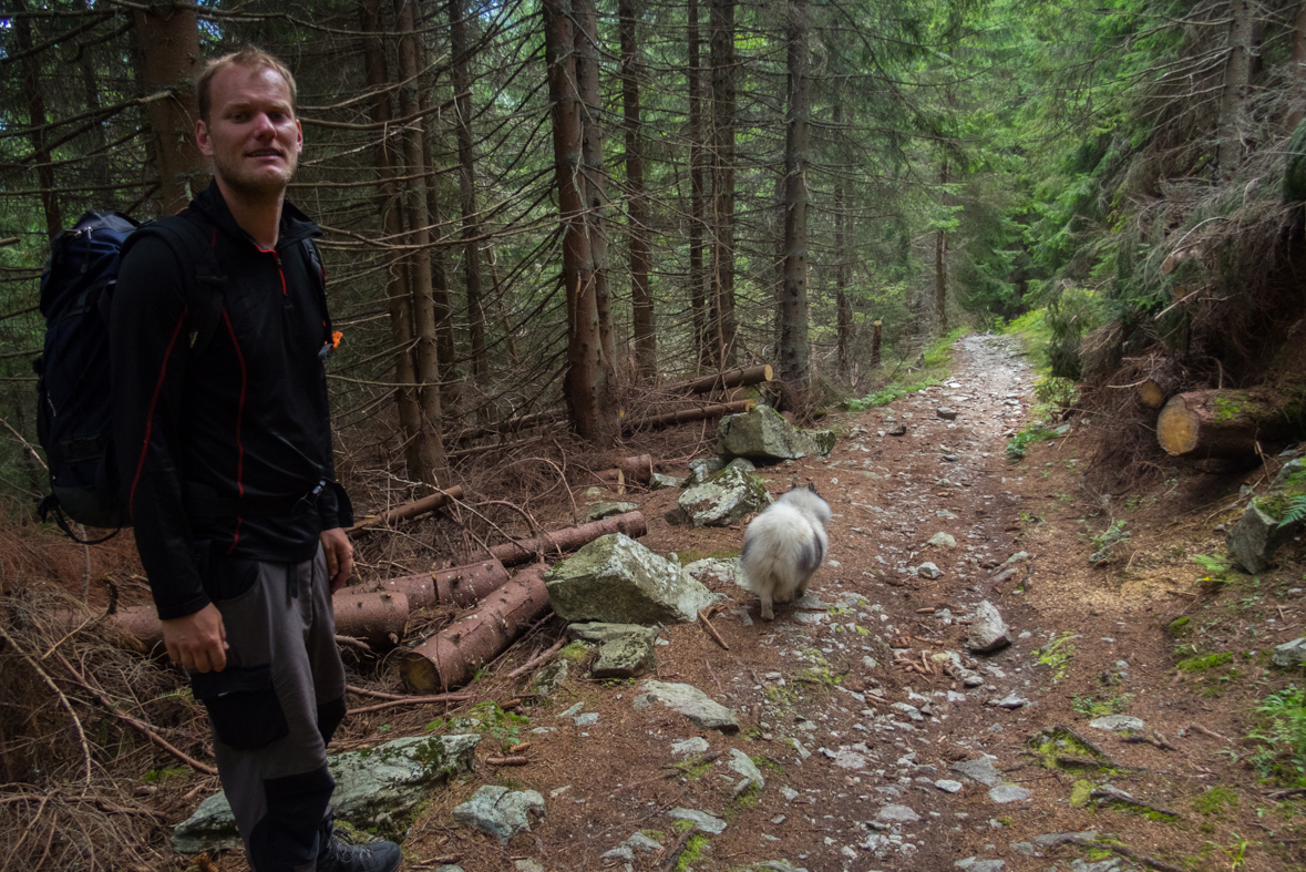 Baranec z Račkovej doliny, ATC (Západné Tatry)