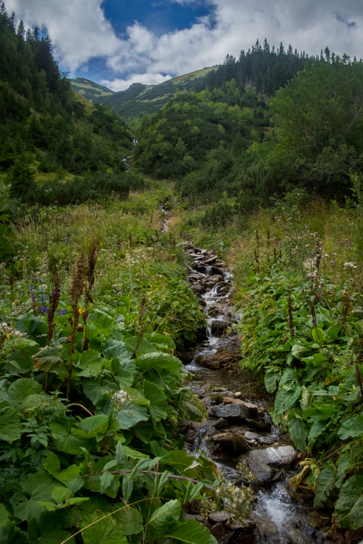 Baranec z Račkovej doliny, ATC (Západné Tatry)