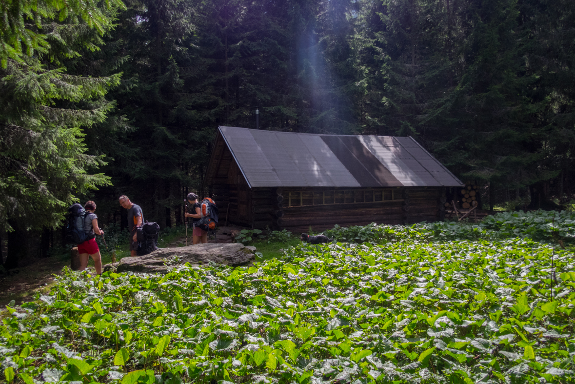 Baranec z Račkovej doliny, ATC (Západné Tatry)