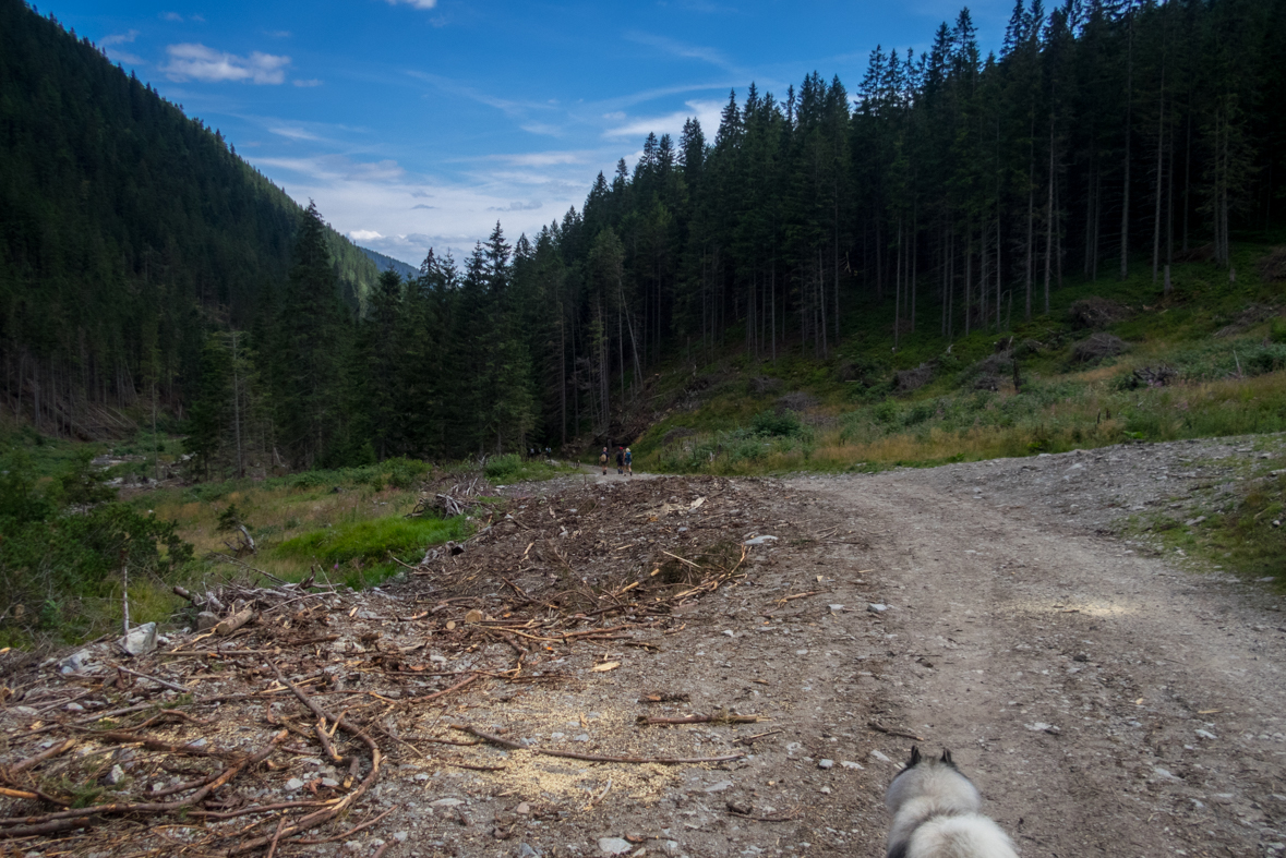 Baranec z Račkovej doliny, ATC (Západné Tatry)