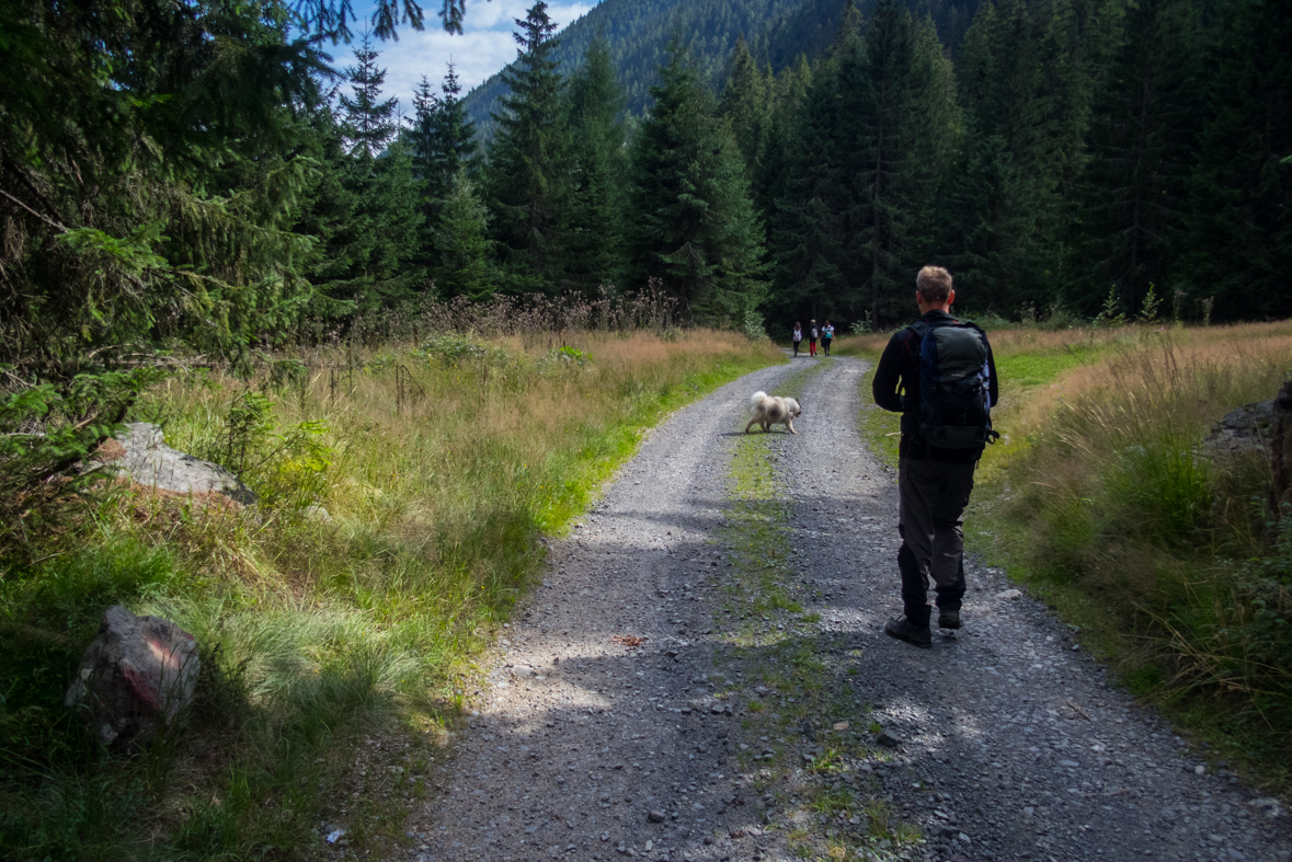 Baranec z Račkovej doliny, ATC (Západné Tatry)