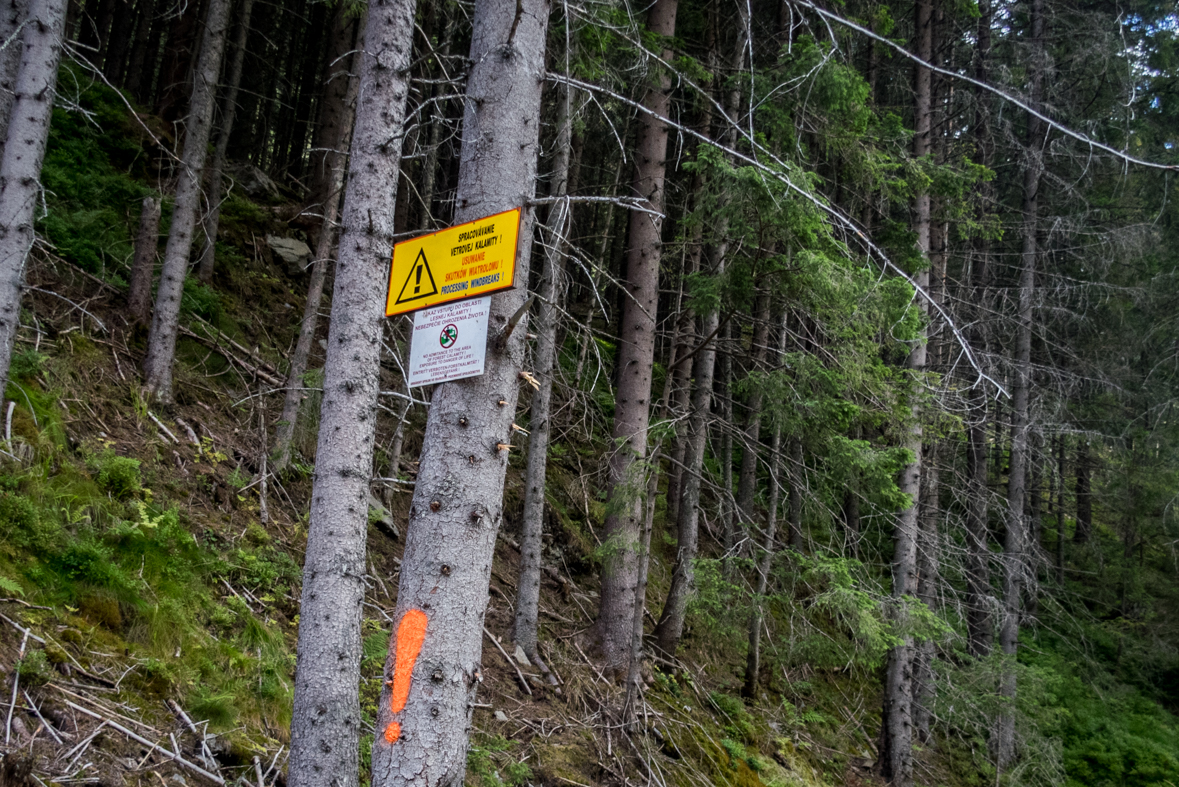 Baranec z Račkovej doliny, ATC (Západné Tatry)