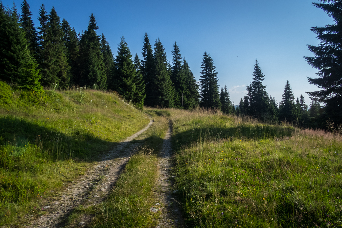 Cez Nižné Šiprúnske sedlo do Ružomberka (Veľká Fatra)