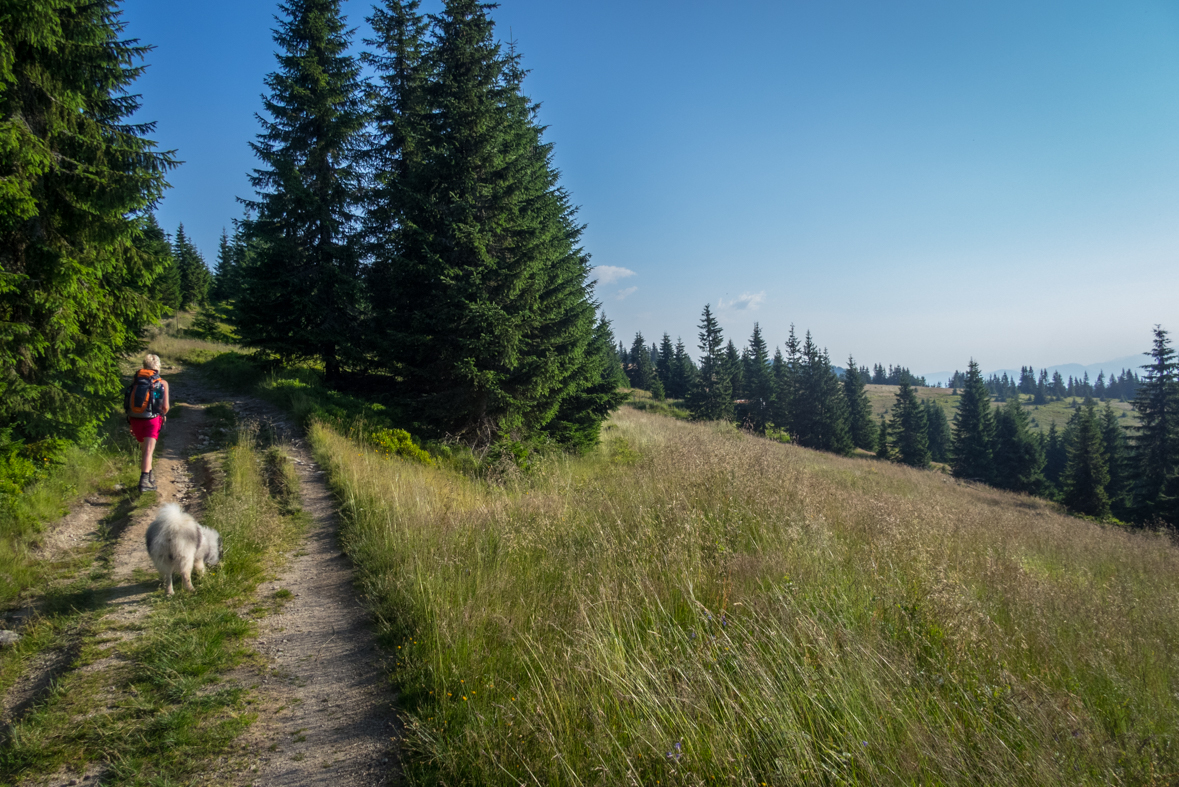 Cez Nižné Šiprúnske sedlo do Ružomberka (Veľká Fatra)