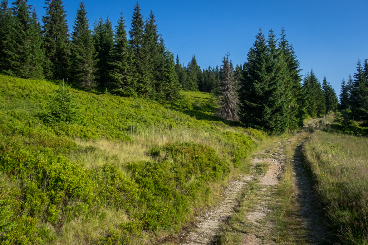 Cez Nižné Šiprúnske sedlo do Ružomberka (Veľká Fatra)