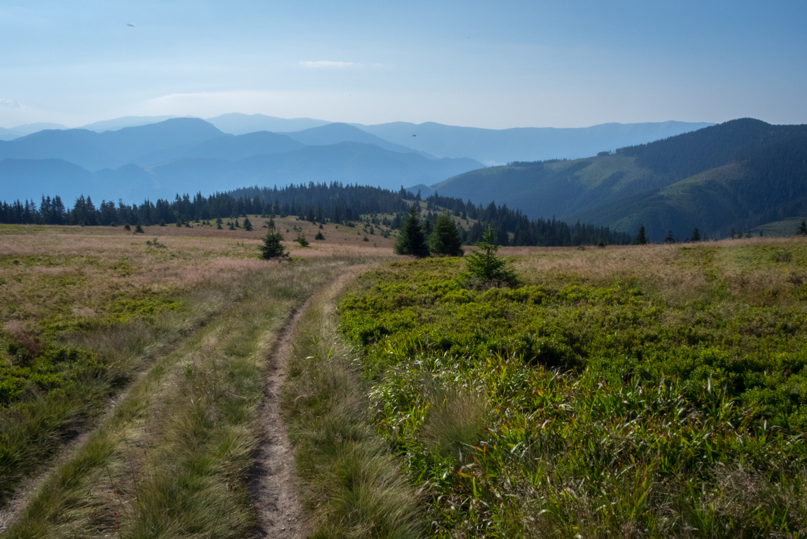 Cez Nižné Šiprúnske sedlo do Ružomberka (Veľká Fatra)