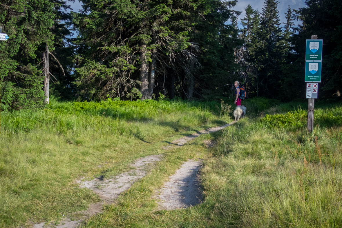 Cez Nižné Šiprúnske sedlo do Ružomberka (Veľká Fatra)