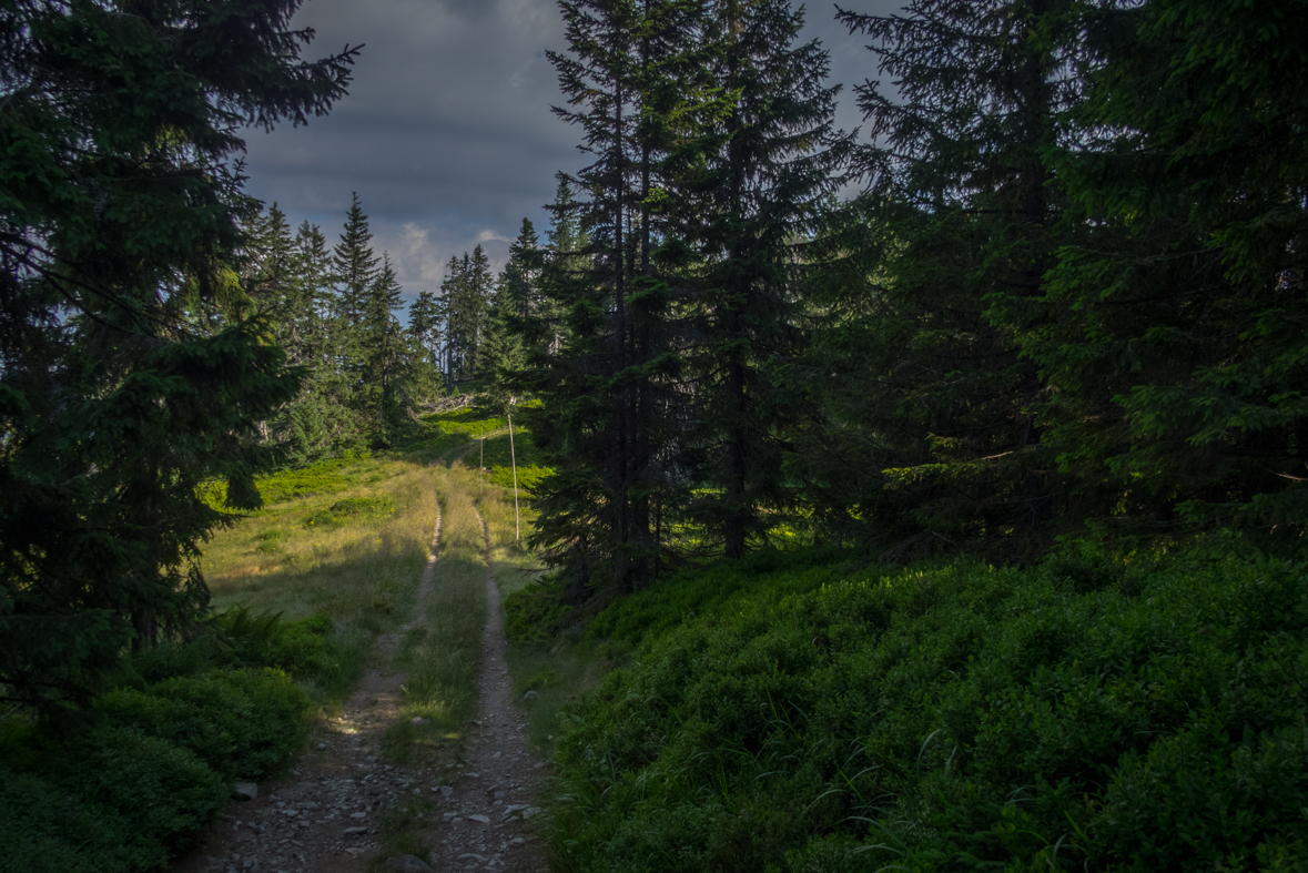 Cez Nižné Šiprúnske sedlo do Ružomberka (Veľká Fatra)