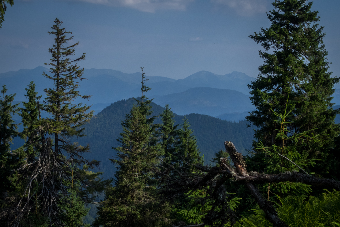 Cez Nižné Šiprúnske sedlo do Ružomberka (Veľká Fatra)