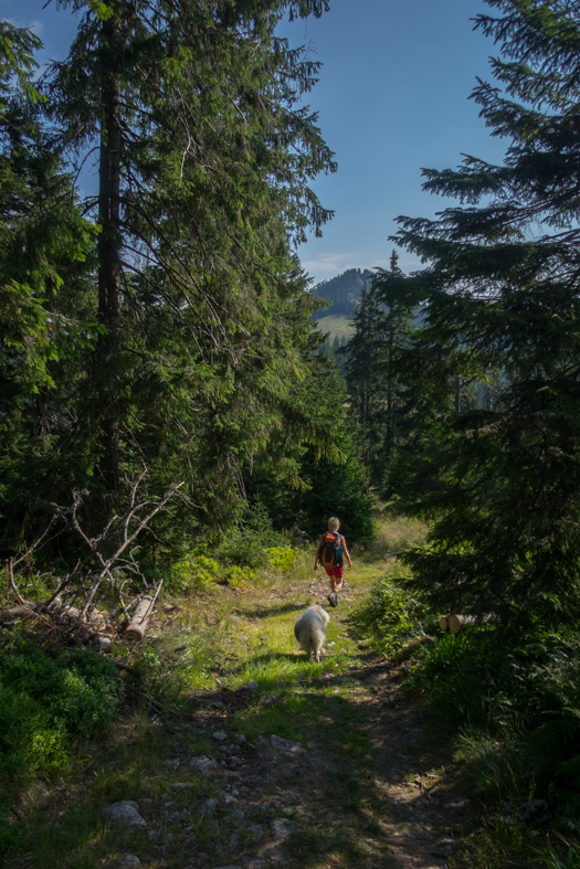 Cez Nižné Šiprúnske sedlo do Ružomberka (Veľká Fatra)