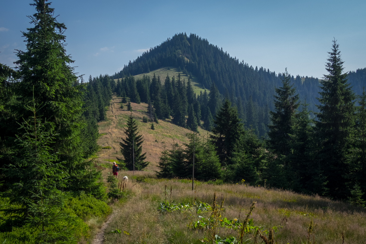 Cez Nižné Šiprúnske sedlo do Ružomberka (Veľká Fatra)