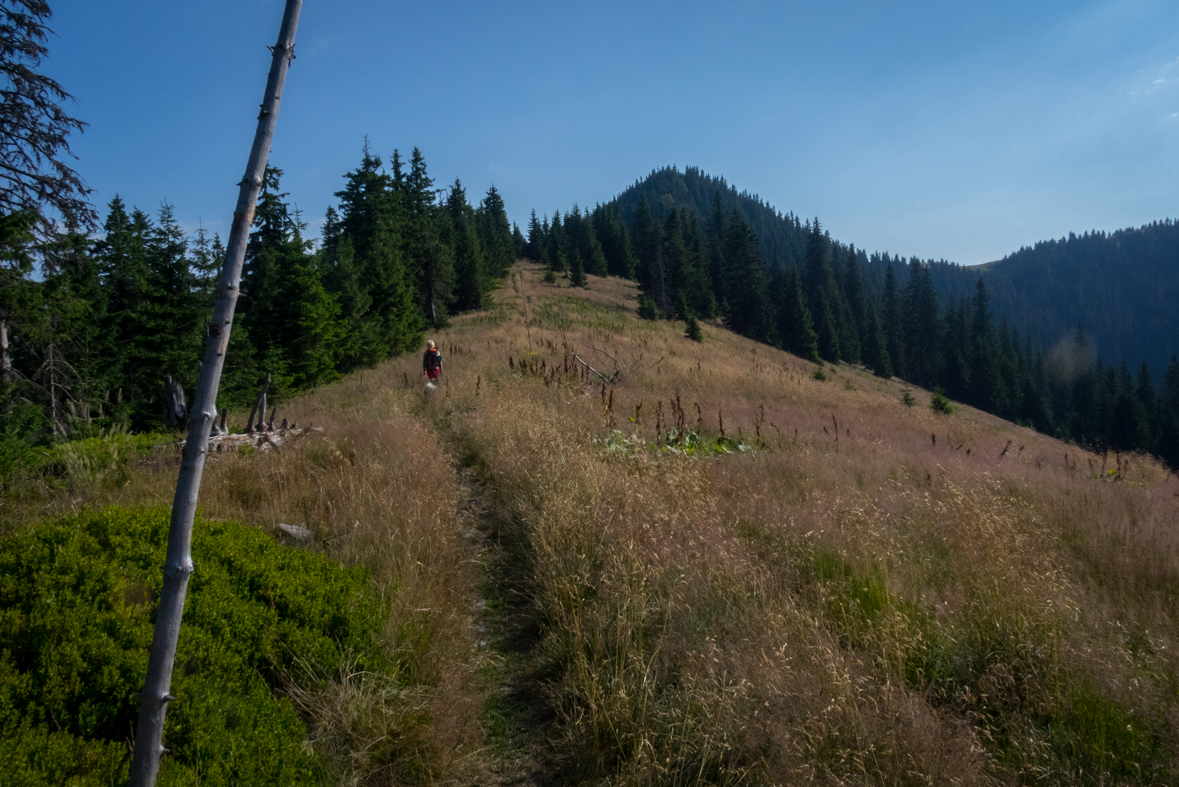 Cez Nižné Šiprúnske sedlo do Ružomberka (Veľká Fatra)