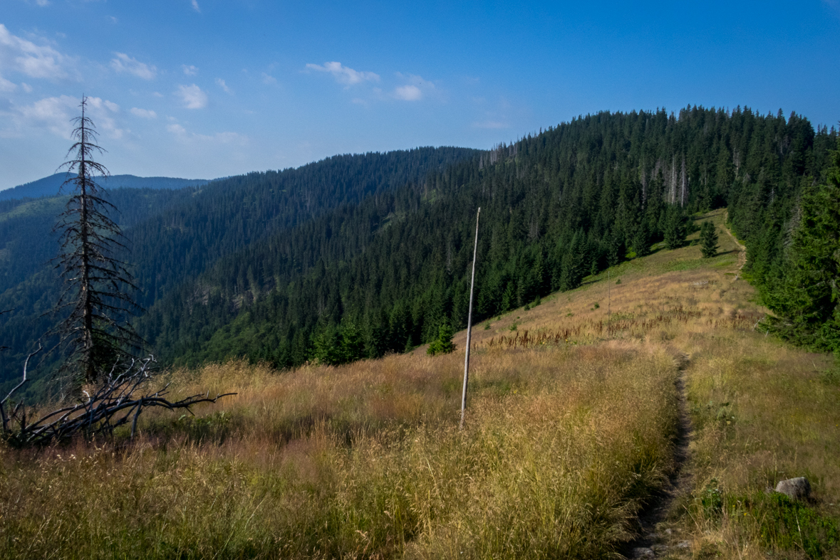 Cez Nižné Šiprúnske sedlo do Ružomberka (Veľká Fatra)