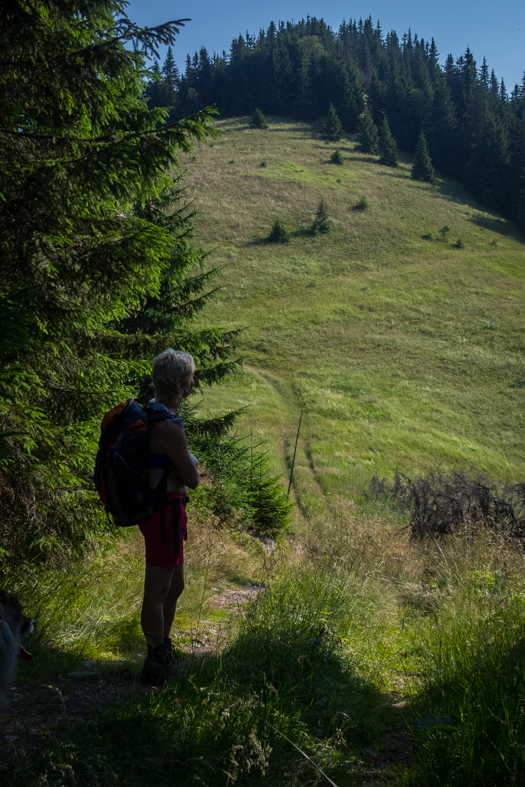 Cez Nižné Šiprúnske sedlo do Ružomberka (Veľká Fatra)