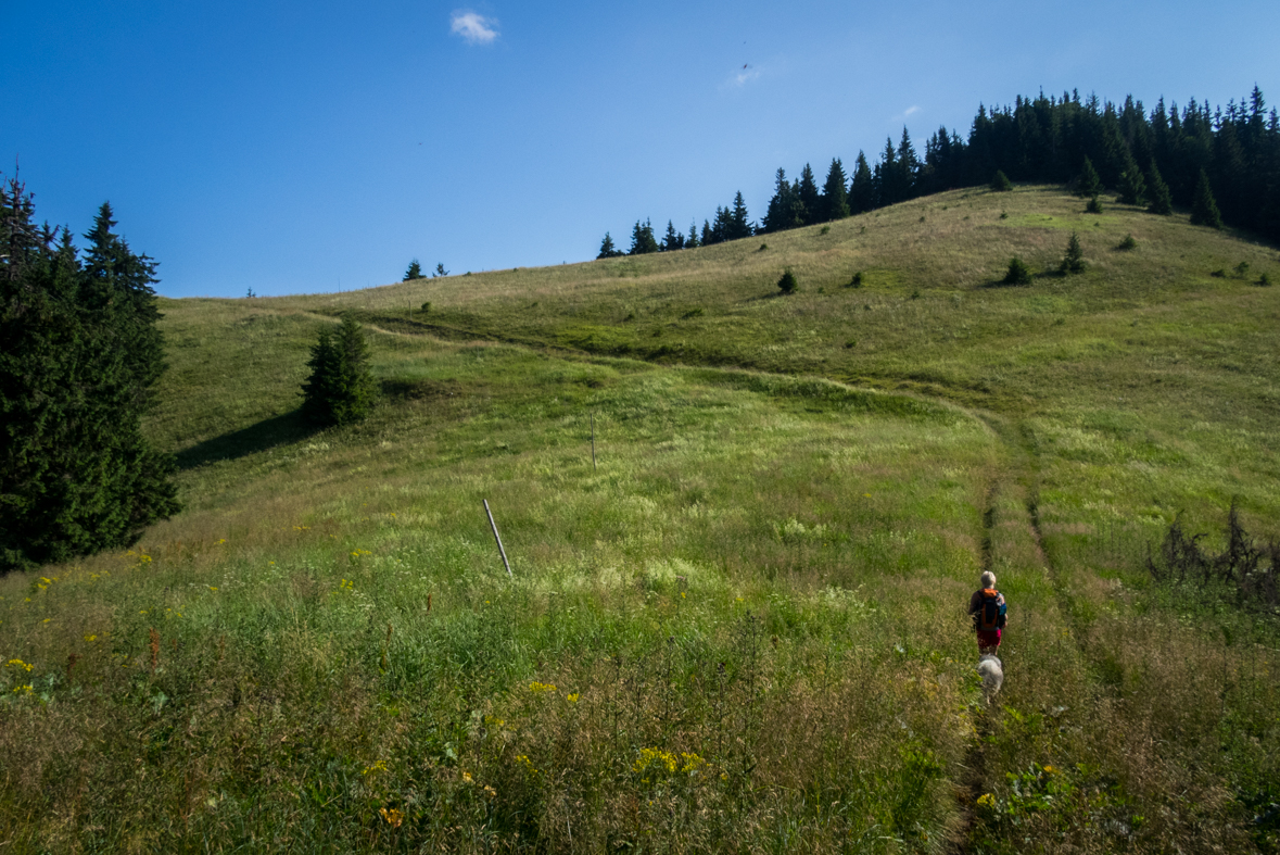 Cez Nižné Šiprúnske sedlo do Ružomberka (Veľká Fatra)