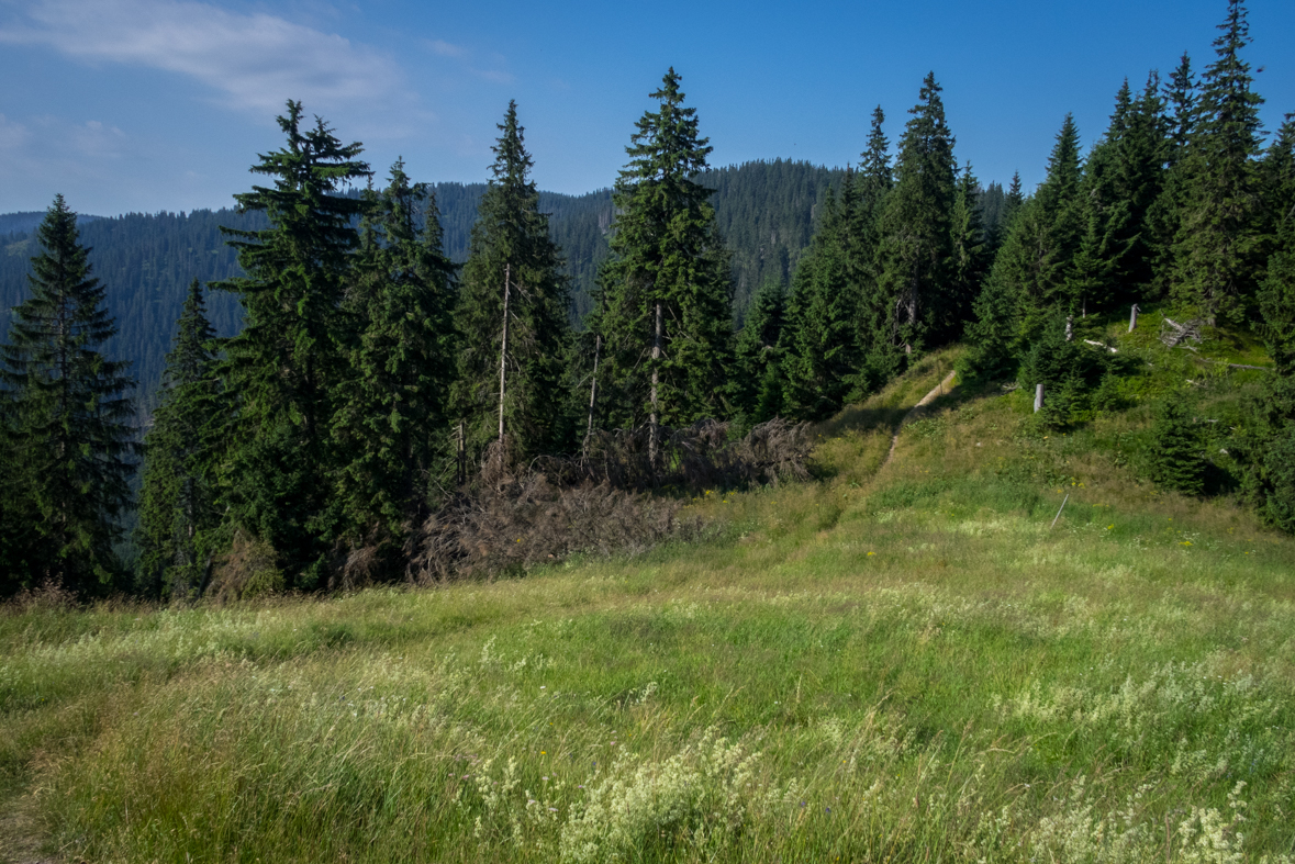 Cez Nižné Šiprúnske sedlo do Ružomberka (Veľká Fatra)