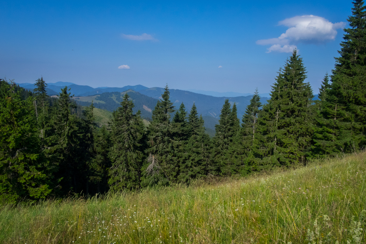 Cez Nižné Šiprúnske sedlo do Ružomberka (Veľká Fatra)