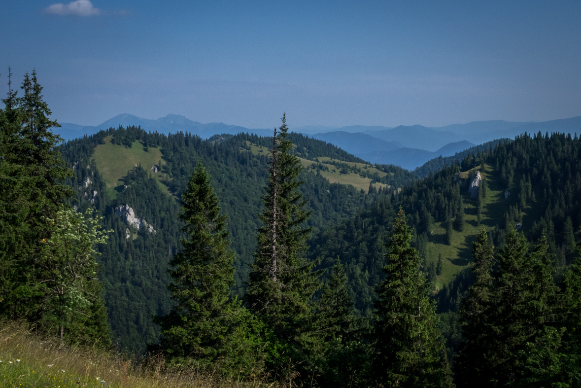 Cez Nižné Šiprúnske sedlo do Ružomberka (Veľká Fatra)