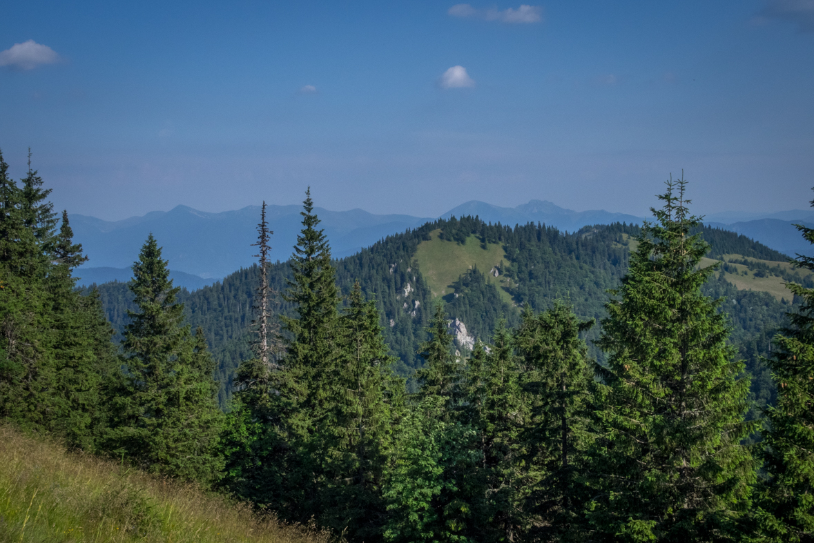 Cez Nižné Šiprúnske sedlo do Ružomberka (Veľká Fatra)