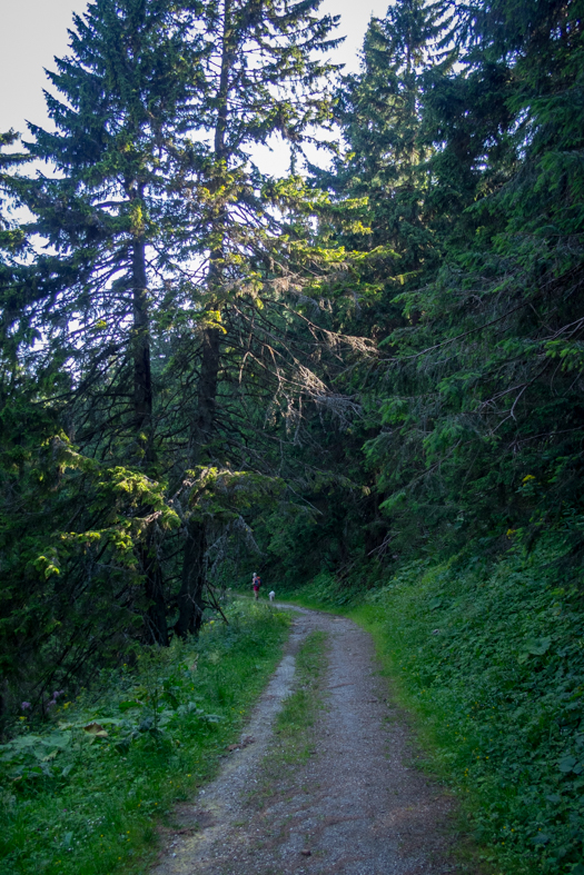 Cez Nižné Šiprúnske sedlo do Ružomberka (Veľká Fatra)