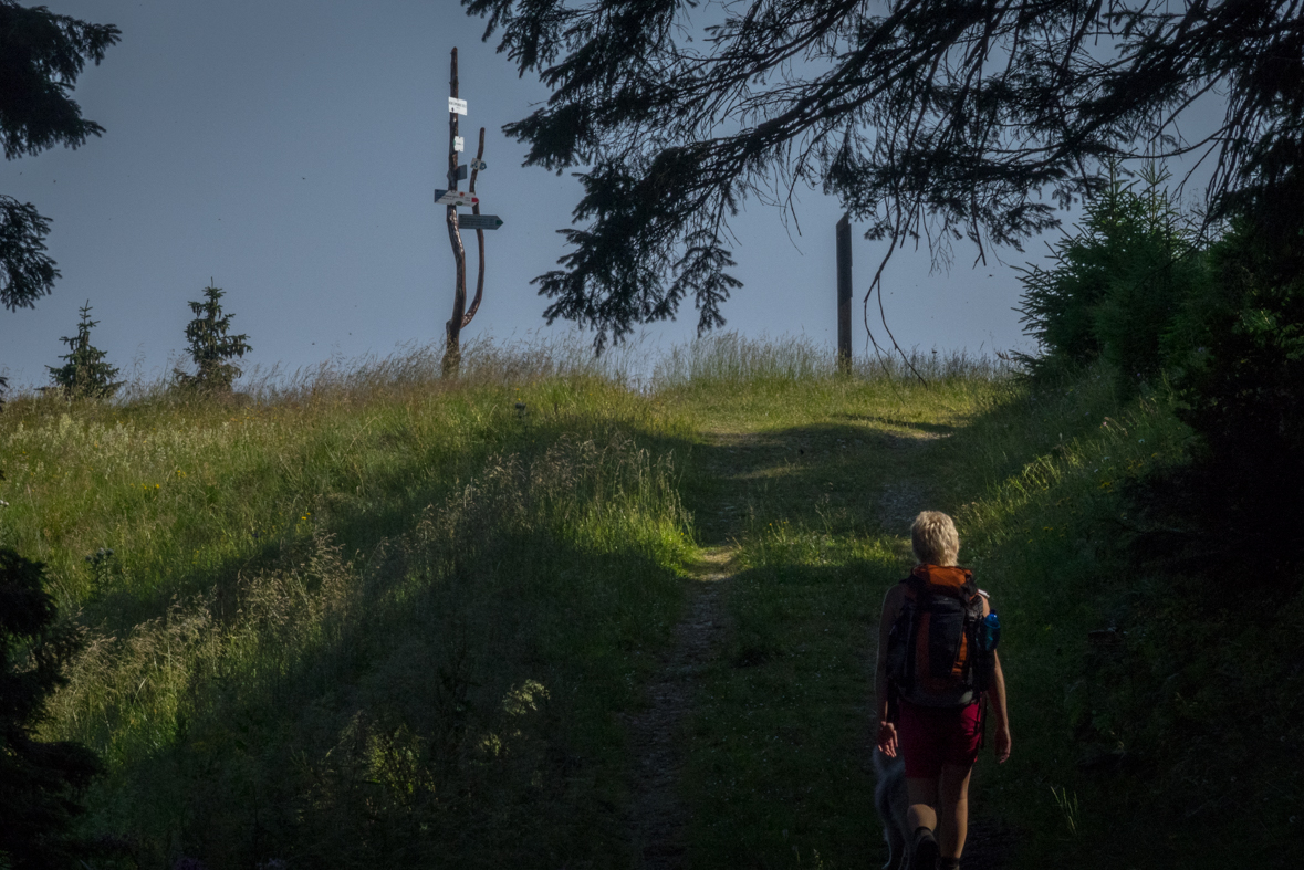 Cez Nižné Šiprúnske sedlo do Ružomberka (Veľká Fatra)