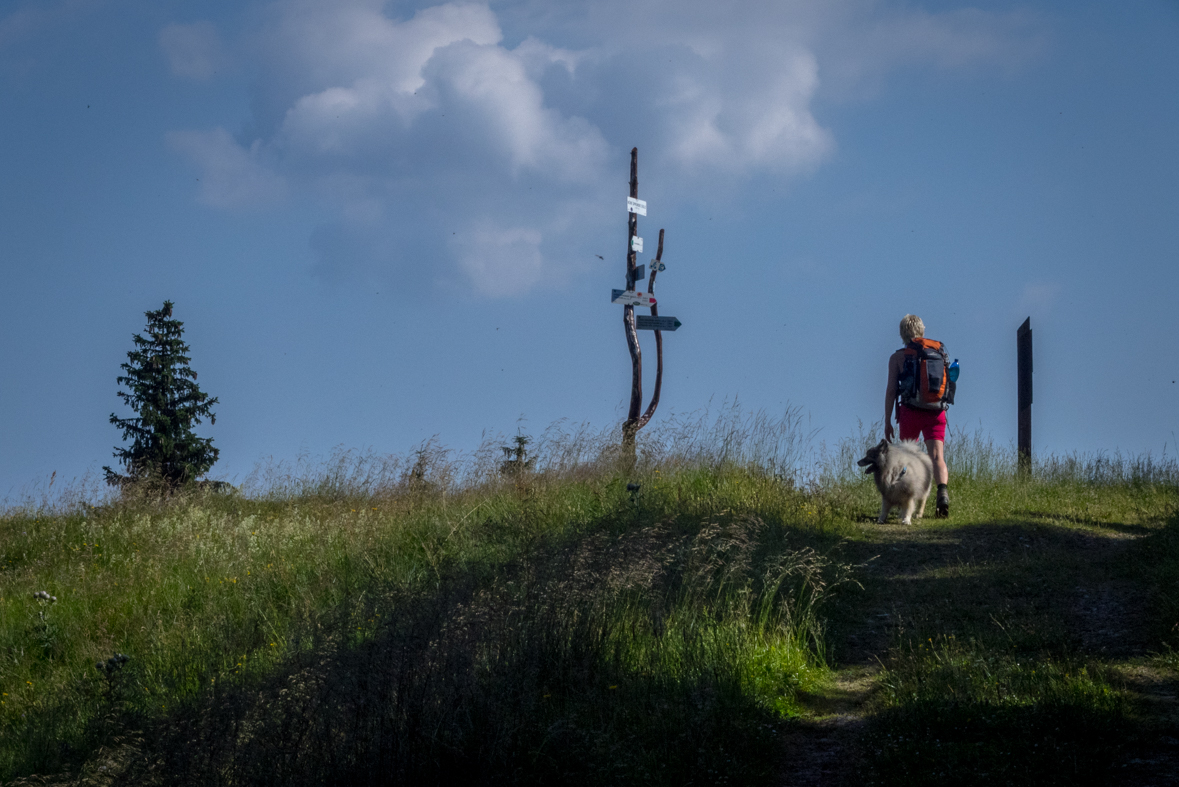 Cez Nižné Šiprúnske sedlo do Ružomberka (Veľká Fatra)