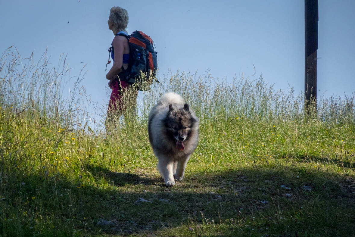 Cez Nižné Šiprúnske sedlo do Ružomberka (Veľká Fatra)