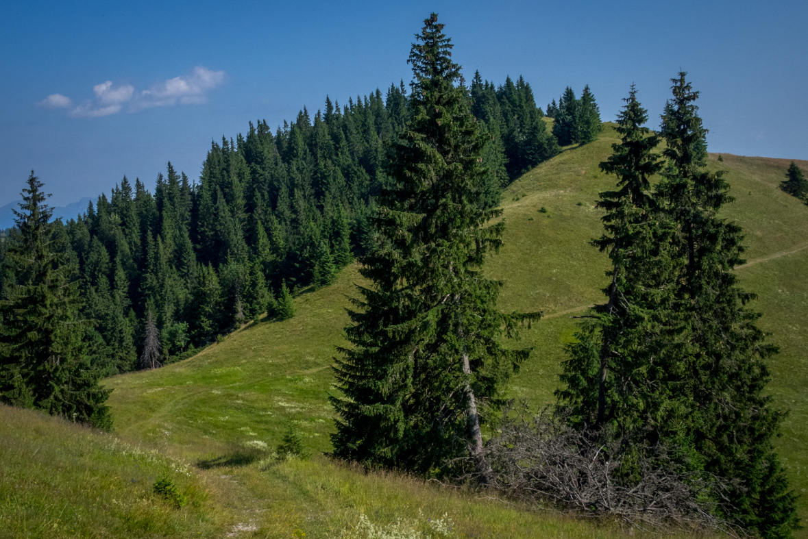 Cez Nižné Šiprúnske sedlo do Ružomberka (Veľká Fatra)