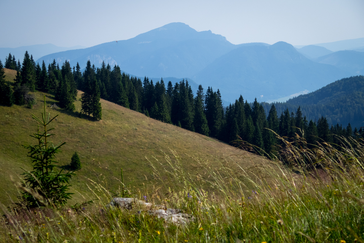 Cez Nižné Šiprúnske sedlo do Ružomberka (Veľká Fatra)