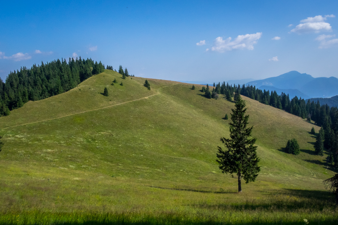 Cez Nižné Šiprúnske sedlo do Ružomberka (Veľká Fatra)