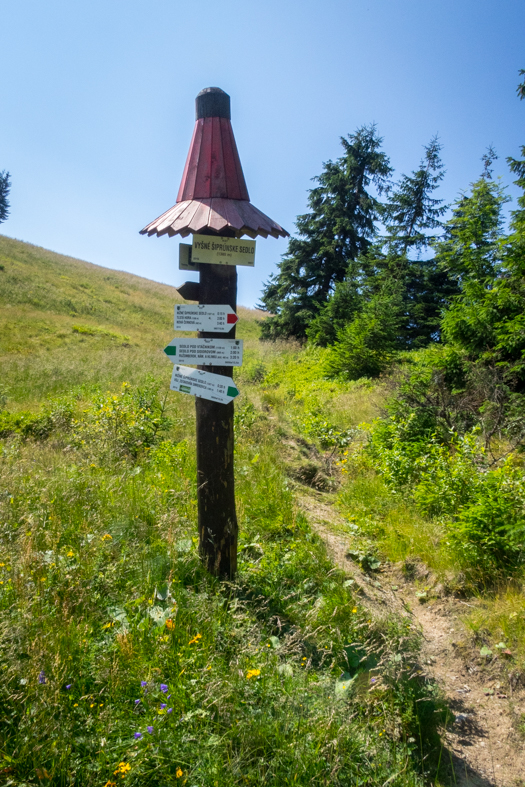 Cez Nižné Šiprúnske sedlo do Ružomberka (Veľká Fatra)