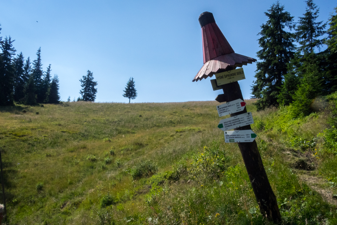 Cez Nižné Šiprúnske sedlo do Ružomberka (Veľká Fatra)