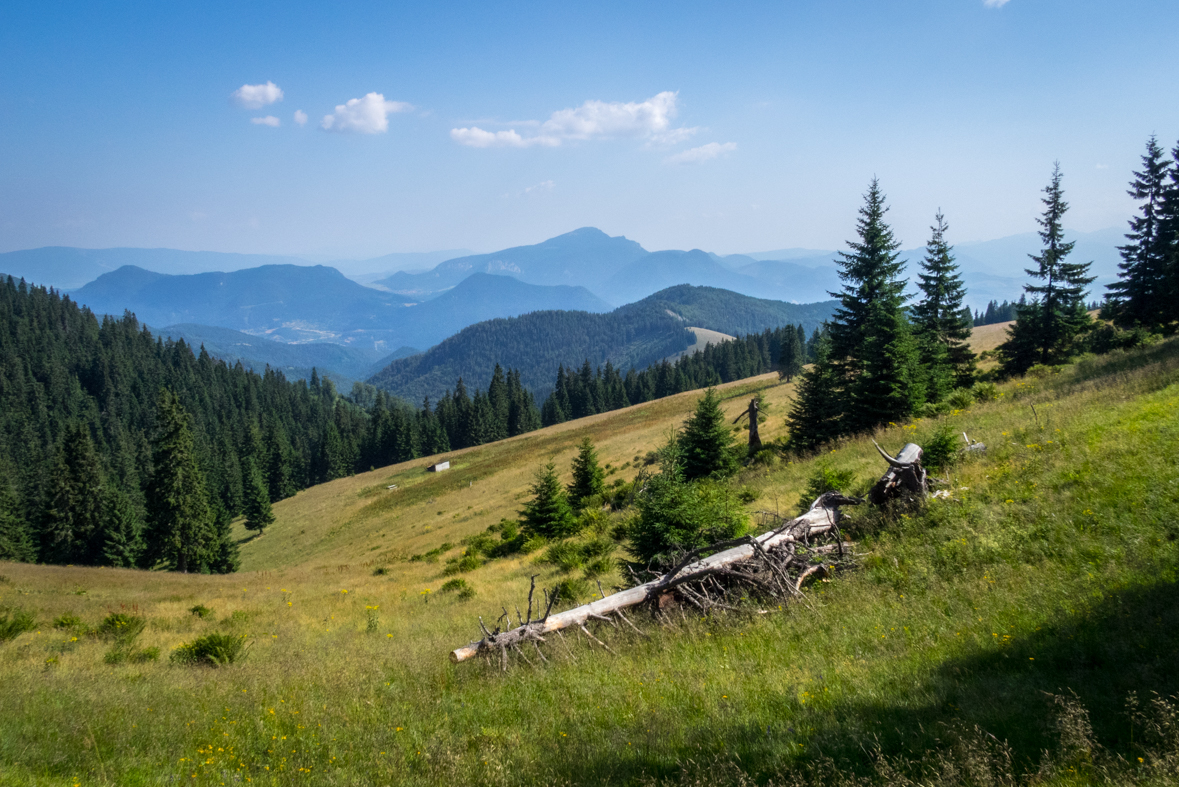 Cez Nižné Šiprúnske sedlo do Ružomberka (Veľká Fatra)