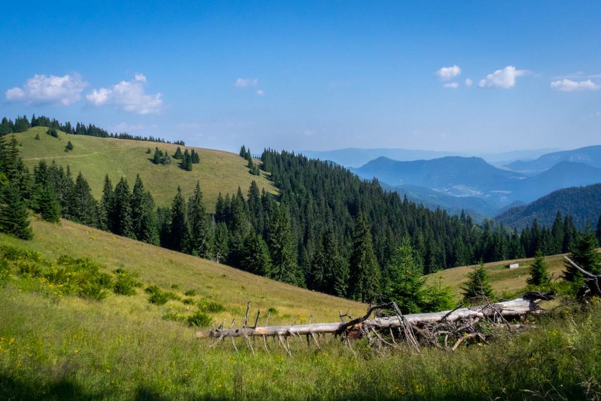 Cez Nižné Šiprúnske sedlo do Ružomberka (Veľká Fatra)