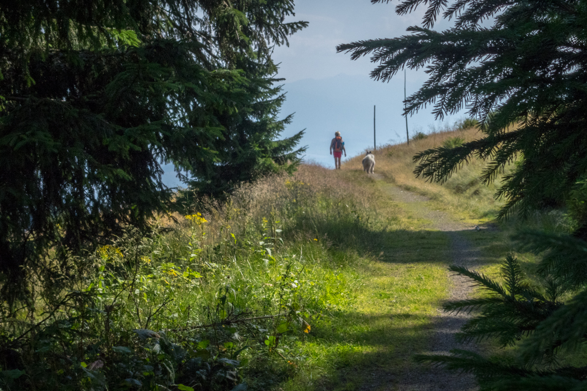 Cez Nižné Šiprúnske sedlo do Ružomberka (Veľká Fatra)