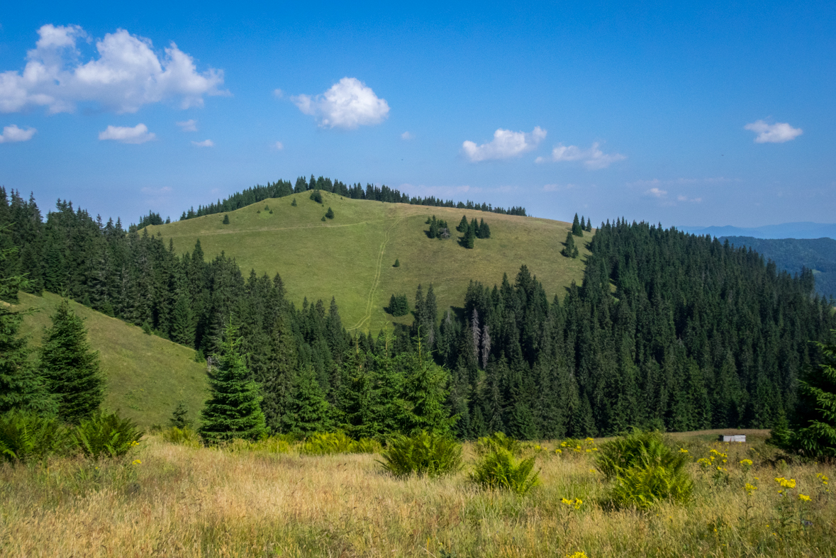 Cez Nižné Šiprúnske sedlo do Ružomberka (Veľká Fatra)