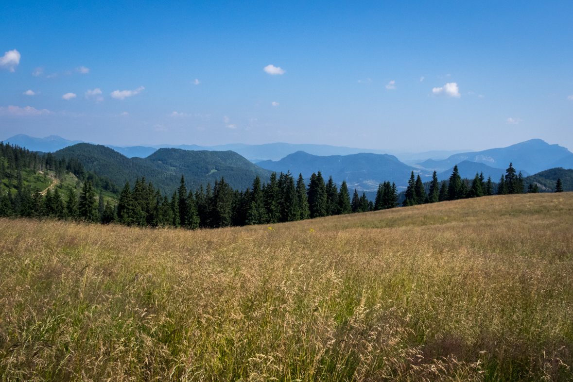 Cez Nižné Šiprúnske sedlo do Ružomberka (Veľká Fatra)