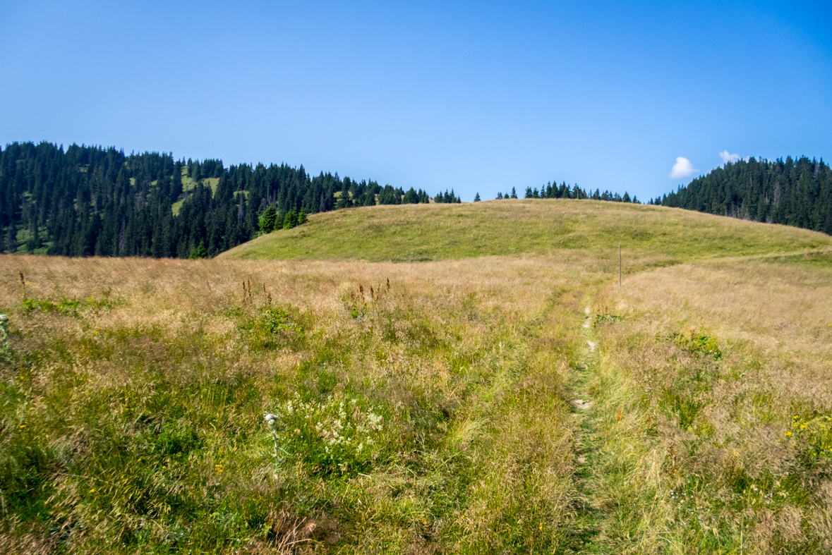 Cez Nižné Šiprúnske sedlo do Ružomberka (Veľká Fatra)