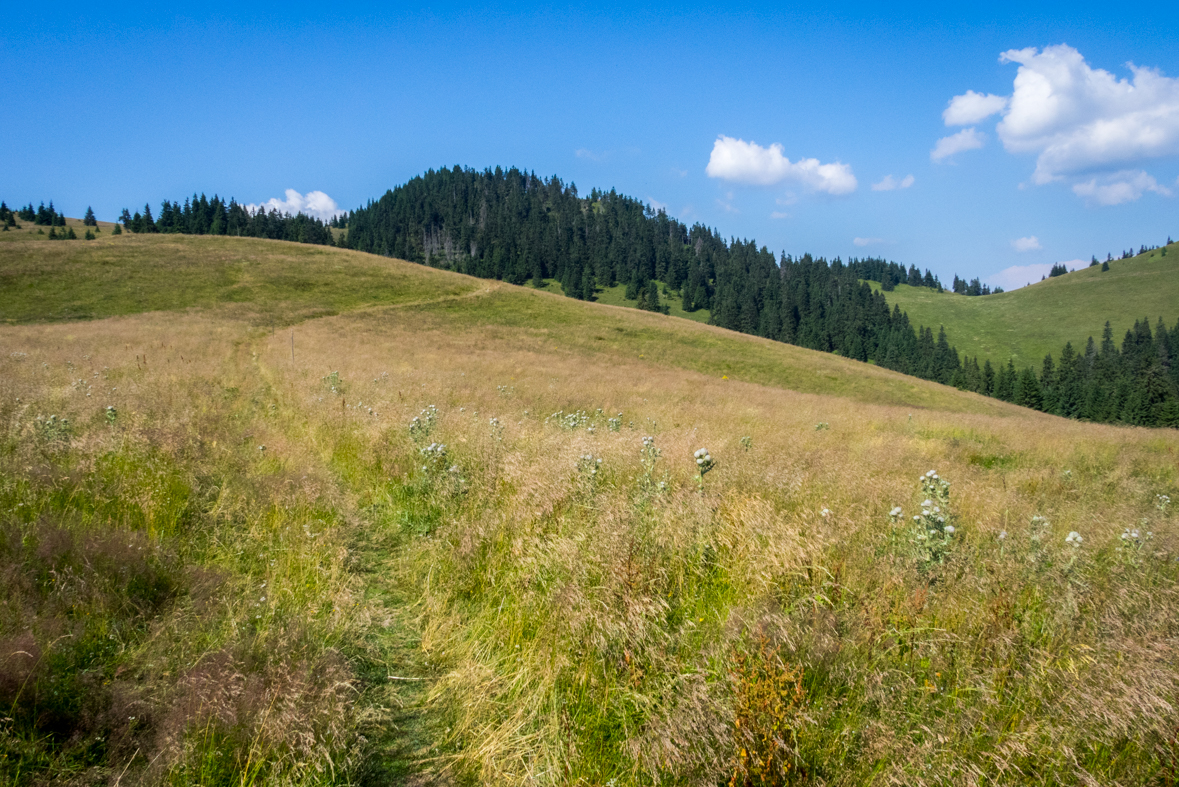 Cez Nižné Šiprúnske sedlo do Ružomberka (Veľká Fatra)