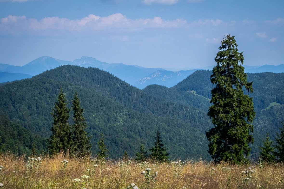 Cez Nižné Šiprúnske sedlo do Ružomberka (Veľká Fatra)