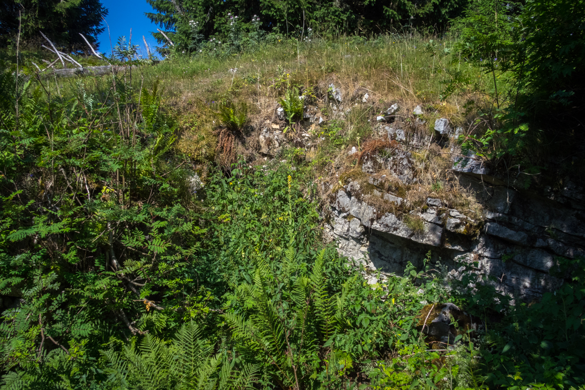 Cez Nižné Šiprúnske sedlo do Ružomberka (Veľká Fatra)